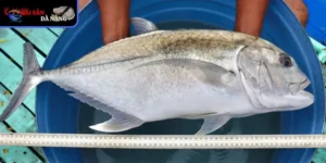 Từ truyền thống đến hiện đại, nó luôn giữ vị thế quan trọng