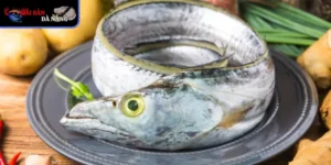 Đặc điểm nổi bật của cá Hố