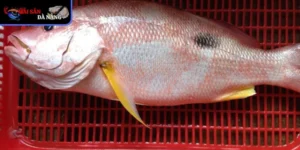 Là mặt hàng có giá trị xuất khẩu cao, góp phần thúc đẩy ngành thủy sản