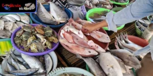 Điểm đến nổi bật của chợ hải sản Đà Nẵng