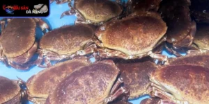 Đặc điểm nổi bật của cua nâu