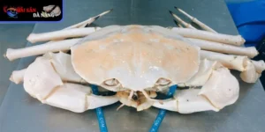 Cua Pha Lê mang đến giá trị vượt trội