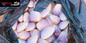 Nghêu tím – món quà biển cả gây thương nhớ