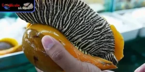 Chiếm trọn ánh nhìn đầu tiên bởi sự lạ mắt và ấn tượng