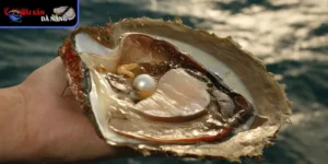 Vẻ đẹp tinh khiết của sò ngọc