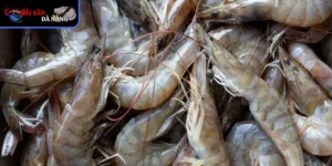 Không chỉ mang lại lợi ích kinh tế còn góp phần cân bằng hệ sinh thái ven biển